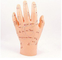 Hand Acupuncture model 