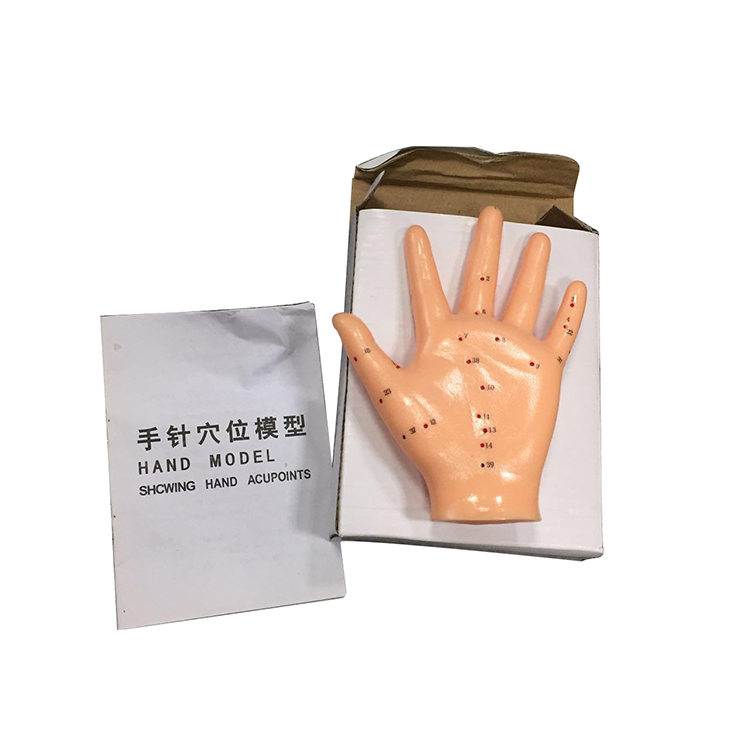 13cm Hand Acupuncture Model