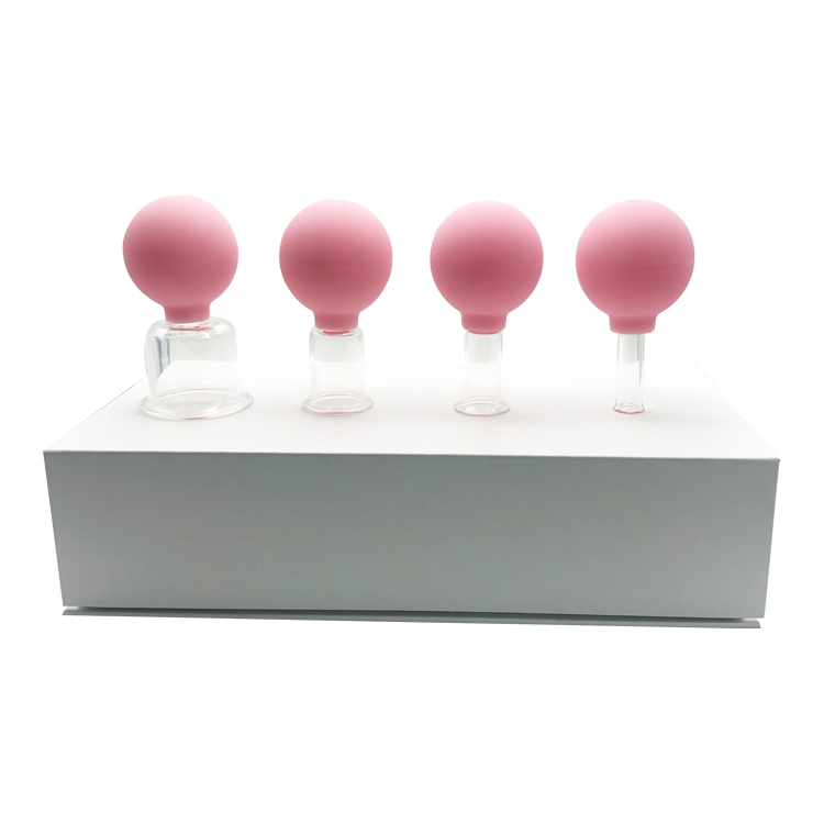 4 Pieces Glass Silicone Cupping Set